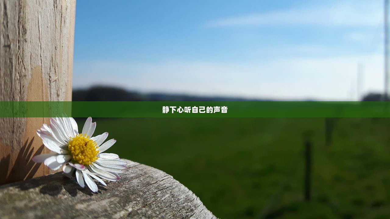 静下心听自己的声音