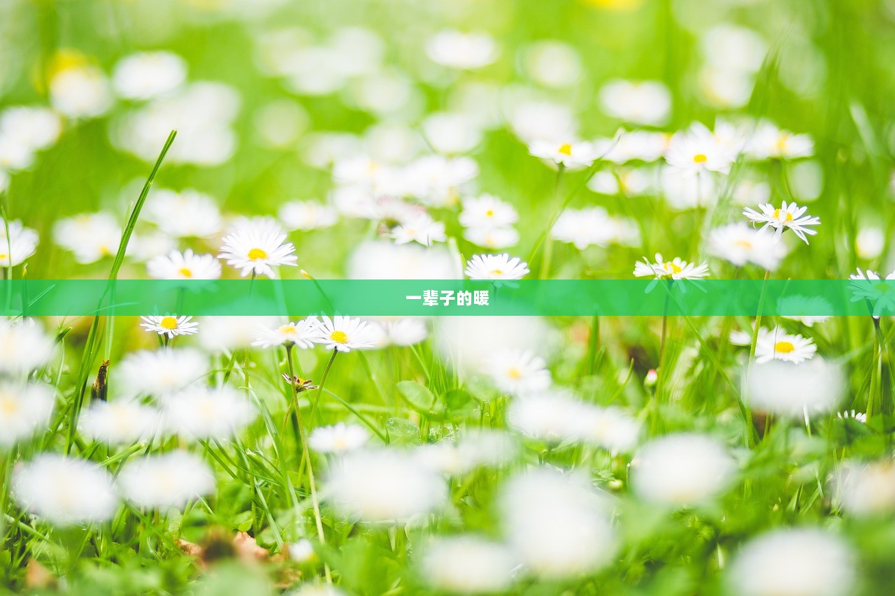 一辈子的暖  第1张