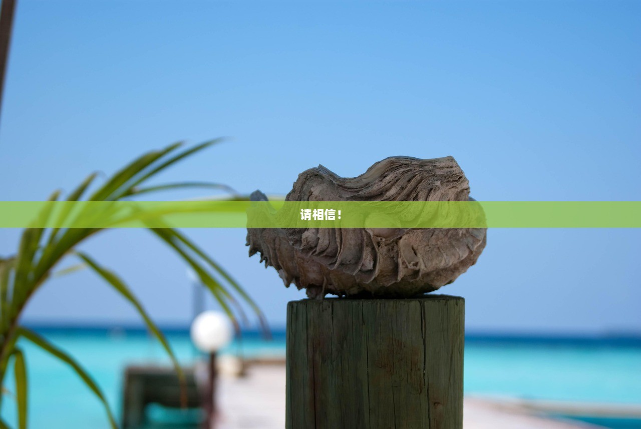 请相信！