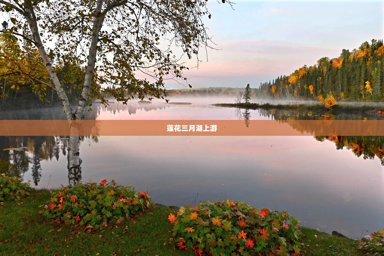 莲花三月湖上游