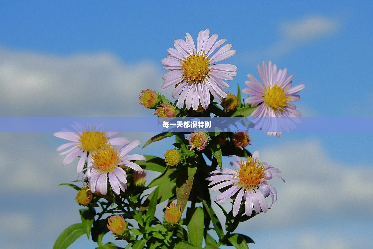 每一天都很特别