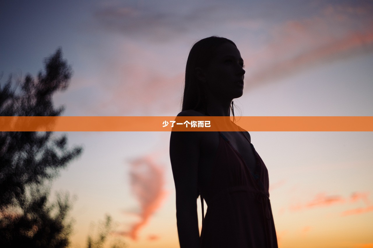少了一个你而已