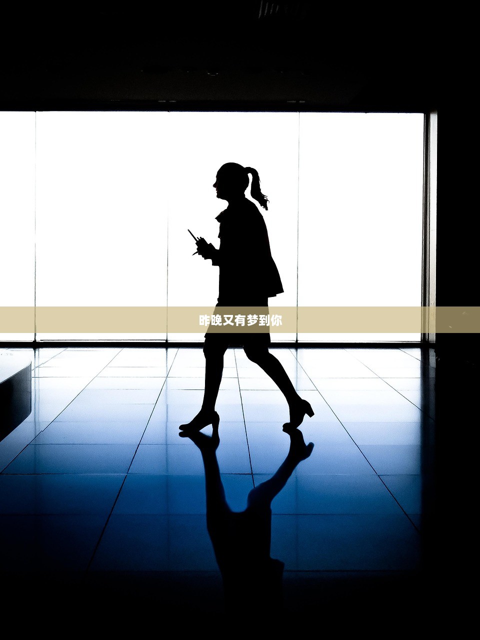 昨晚又有梦到你