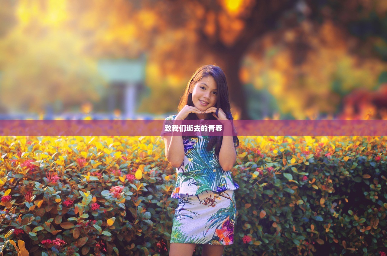 致我们逝去的青春