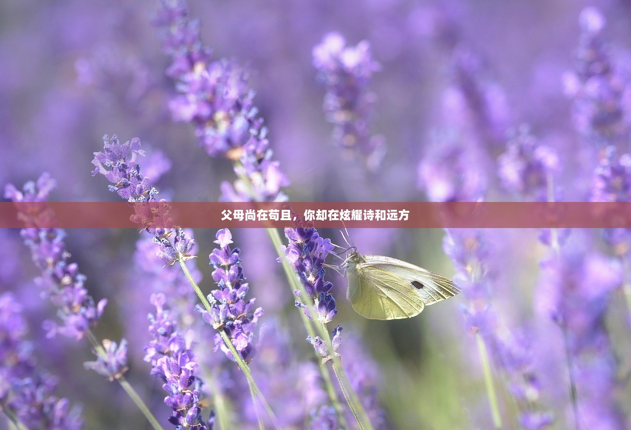 父母尚在苟且，你却在炫耀诗和远方