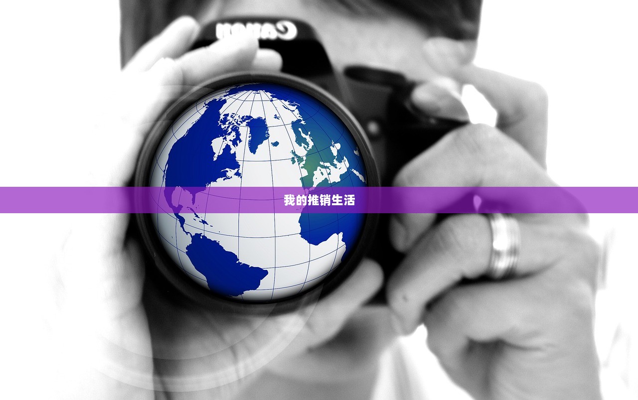 我的推销生活