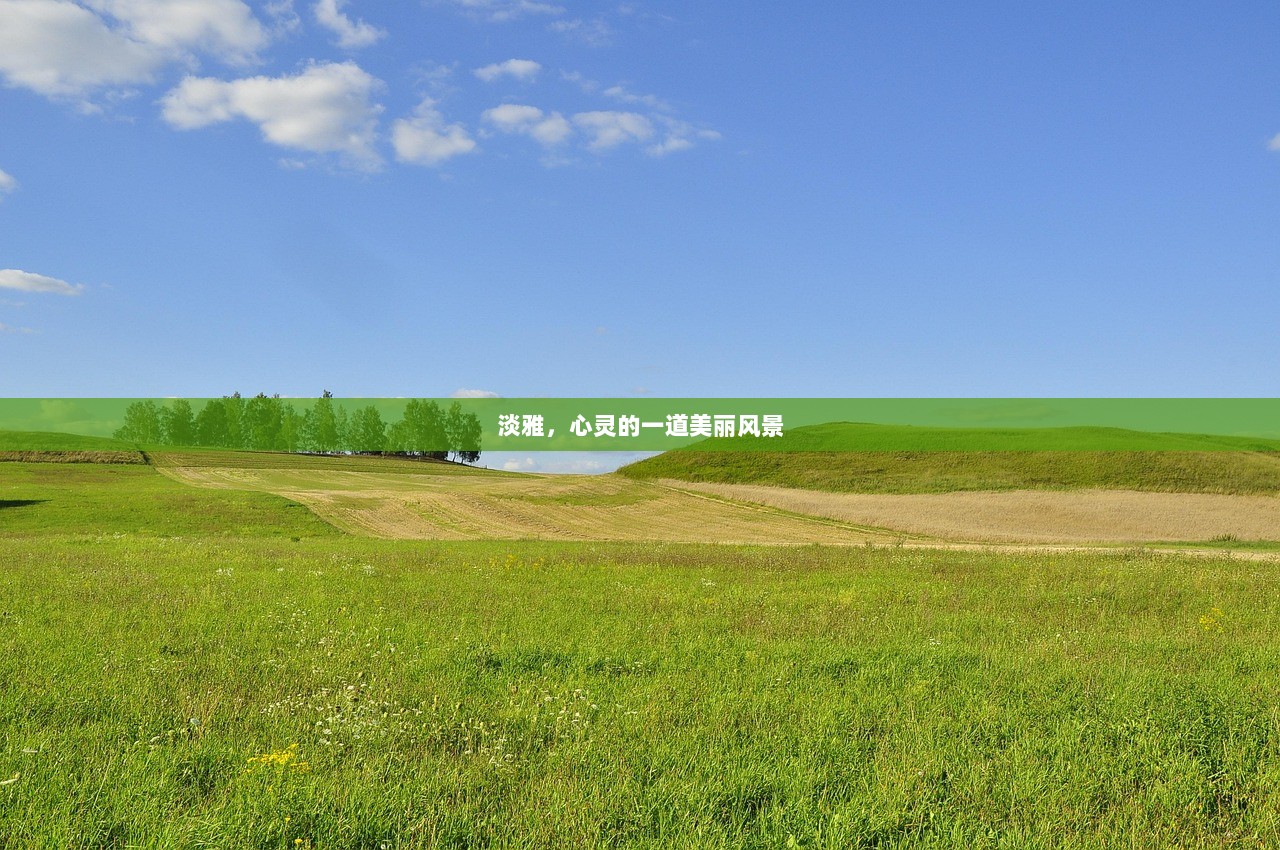 淡雅，心灵的一道美丽风景