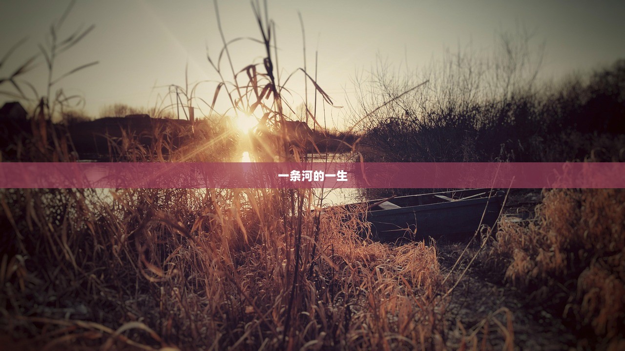 一条河的一生