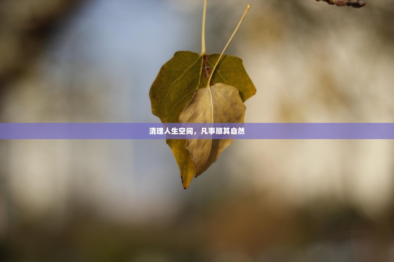 清理人生空间，凡事顺其自然