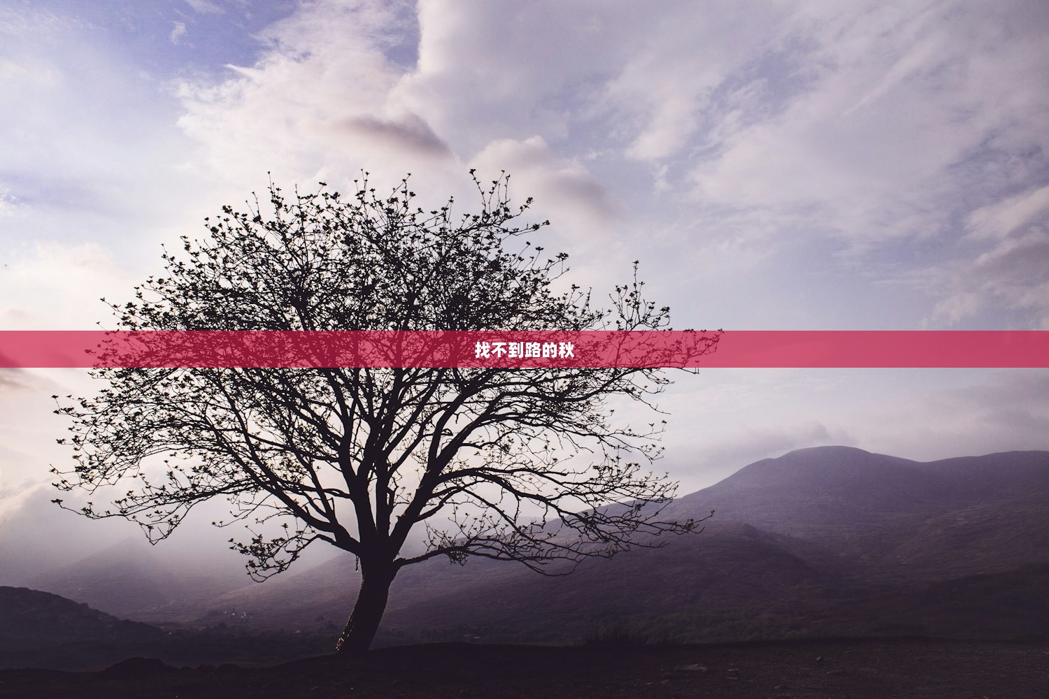 找不到路的秋