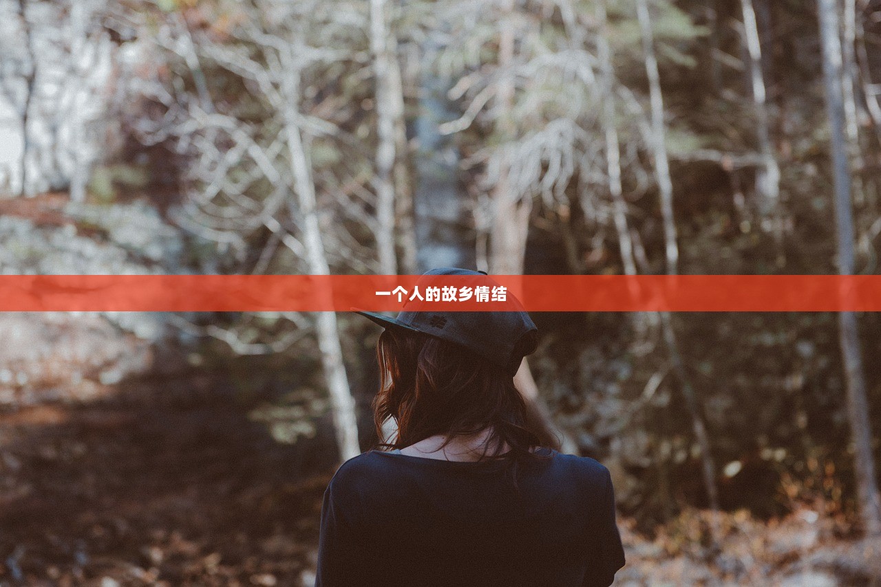 一个人的故乡情结