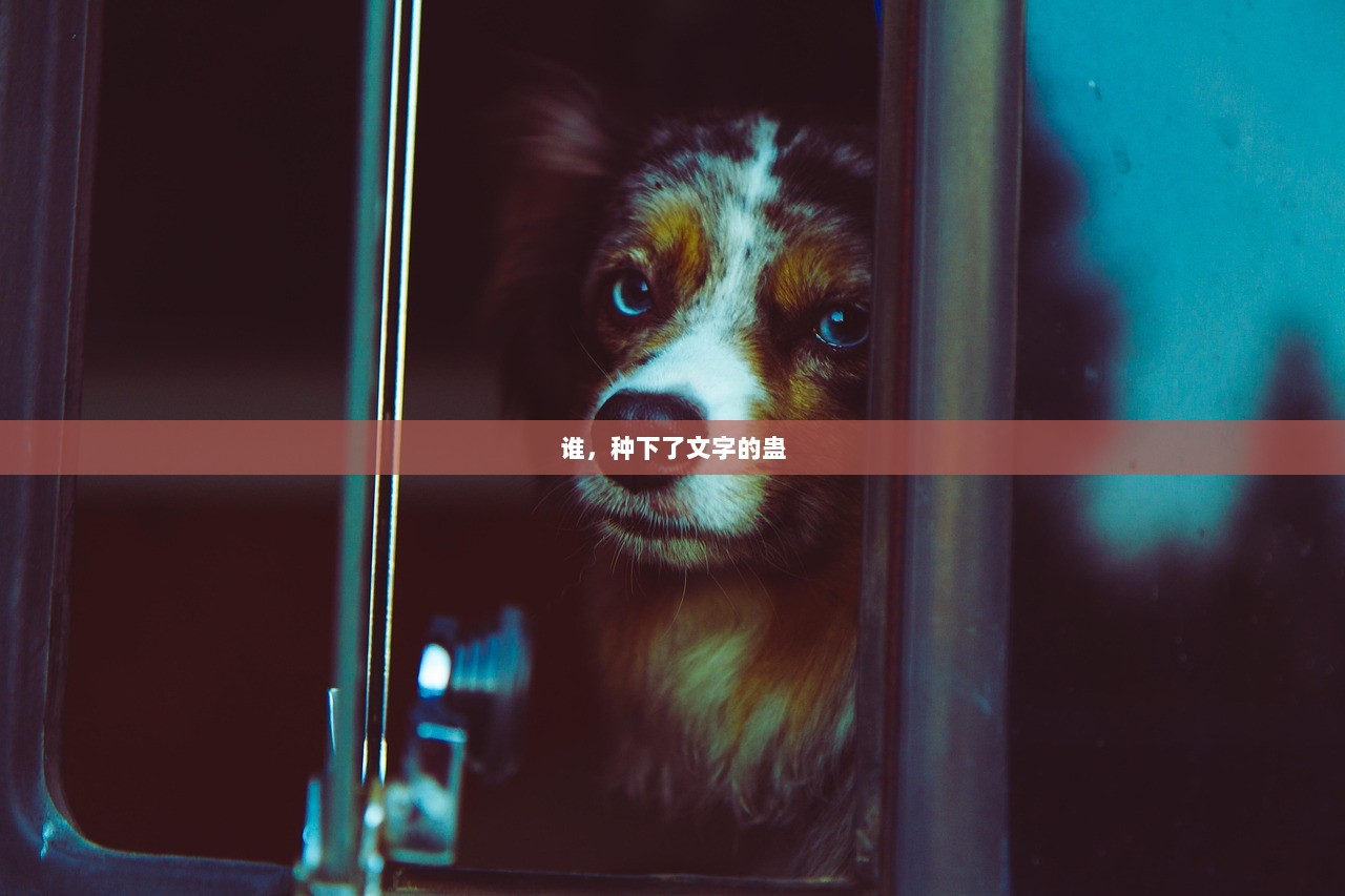 谁，种下了文字的蛊