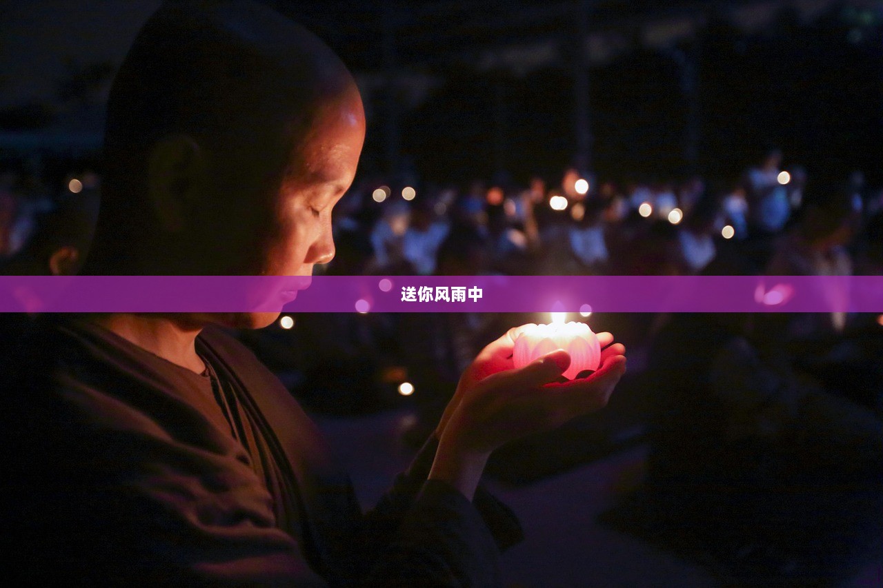 送你风雨中