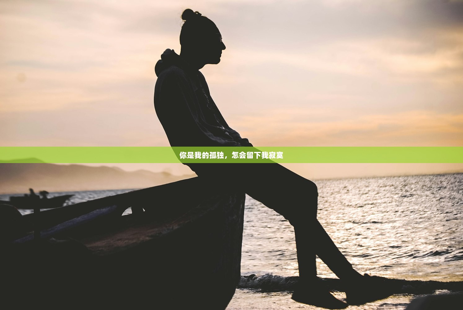 你是我的孤独，怎会留下我寂寞