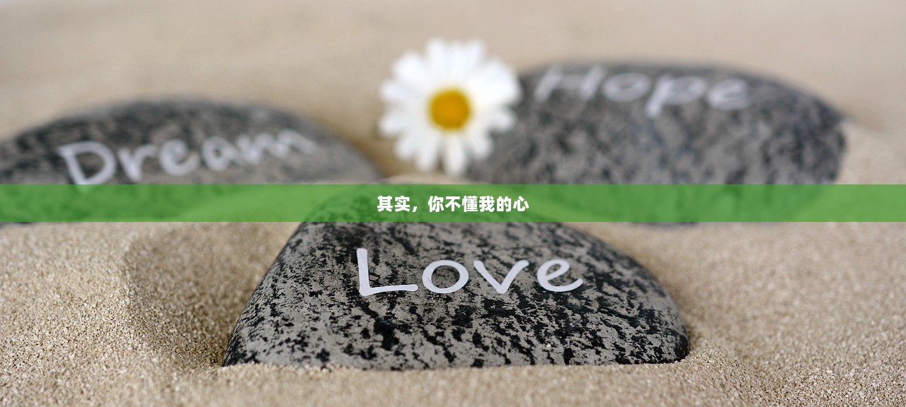 其实，你不懂我的心