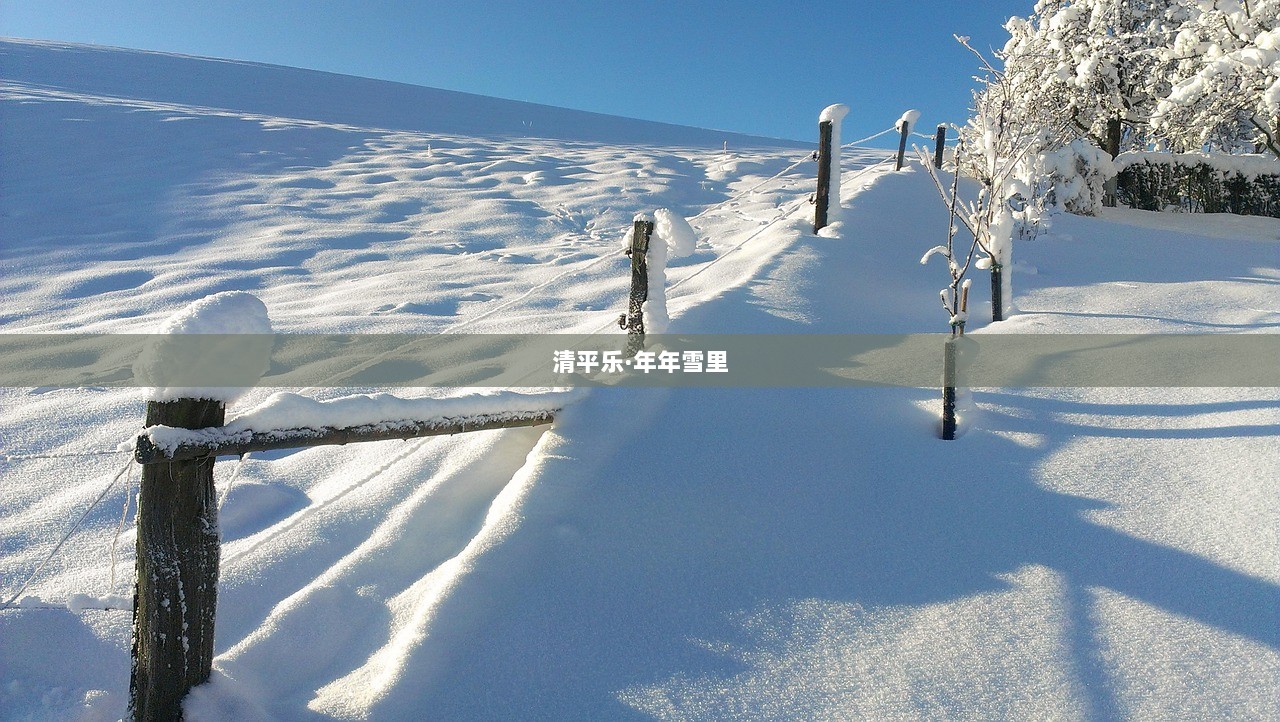 清平乐·年年雪里