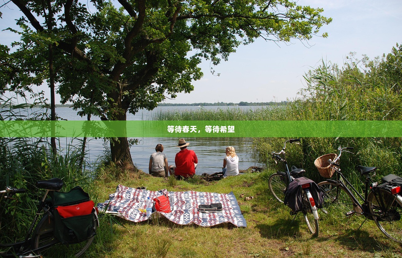 等待春天，等待希望