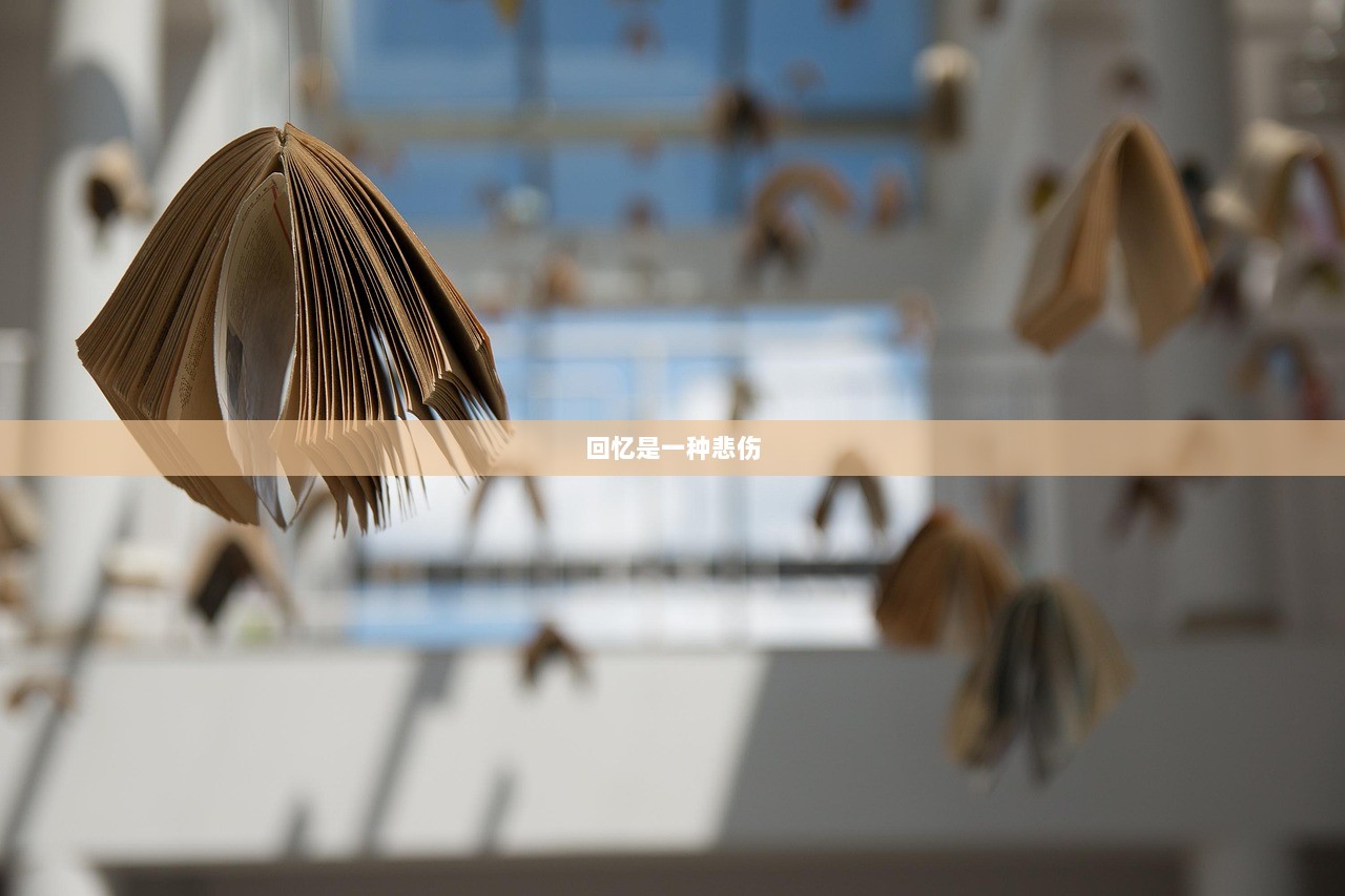 回忆是一种悲伤