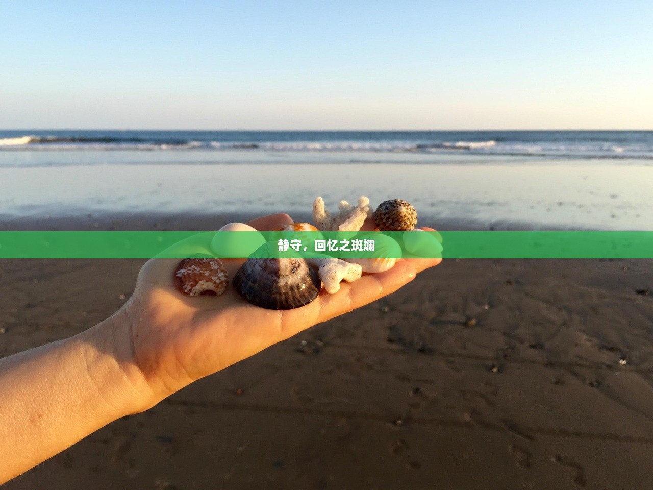 静守，回忆之斑斓