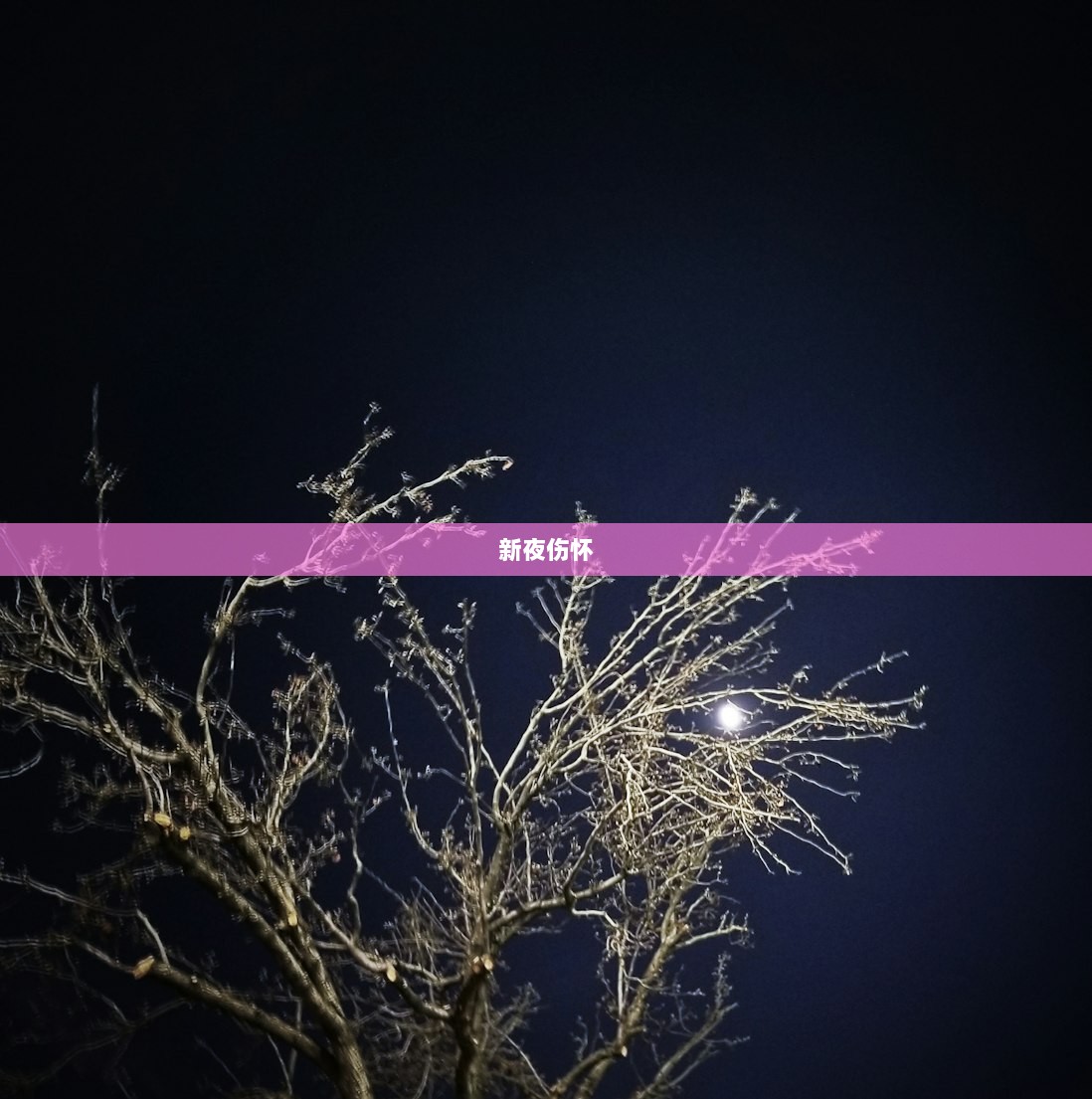 新夜伤怀