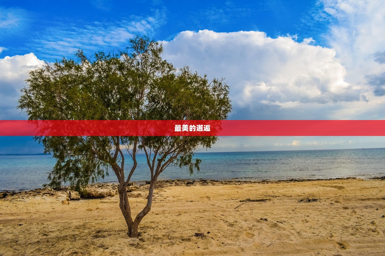 最美的邂逅  第1张