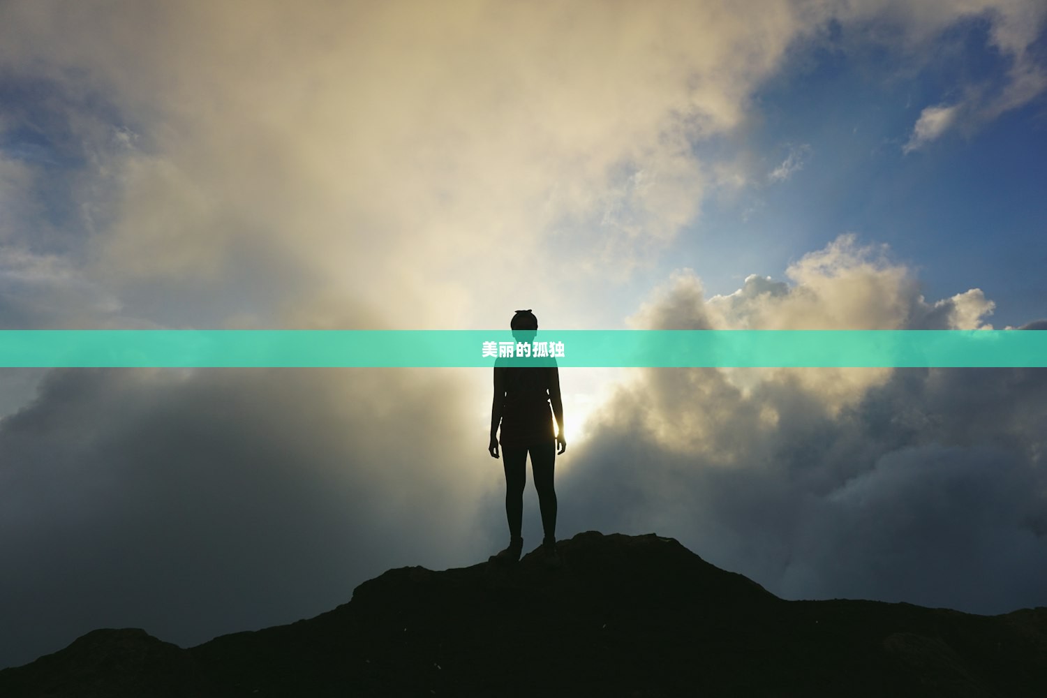 美丽的孤独