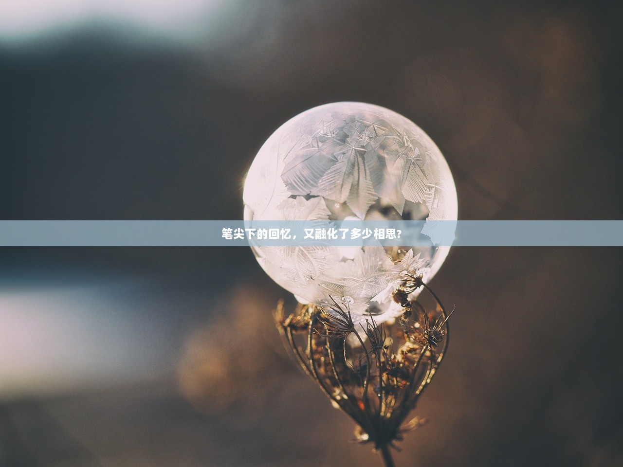 笔尖下的回忆，又融化了多少相思?
