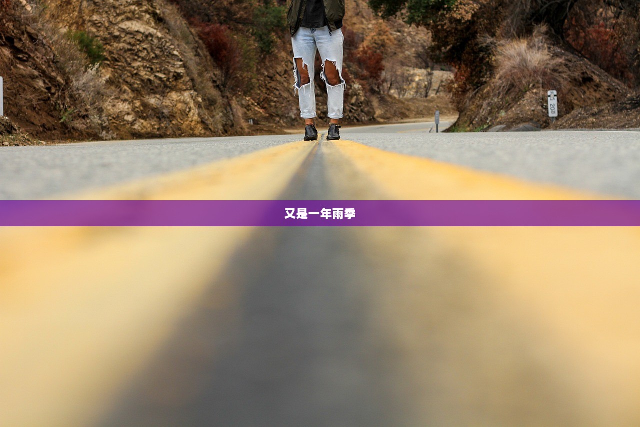 又是一年雨季