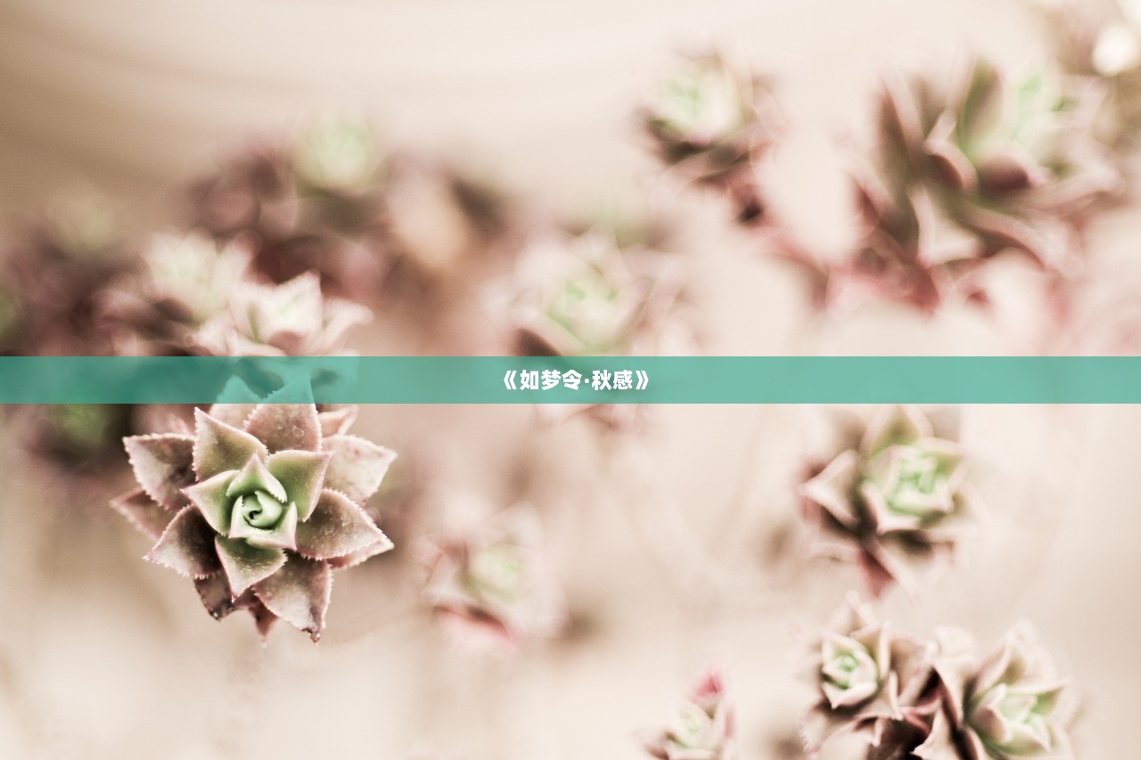 《如梦令·秋感》
