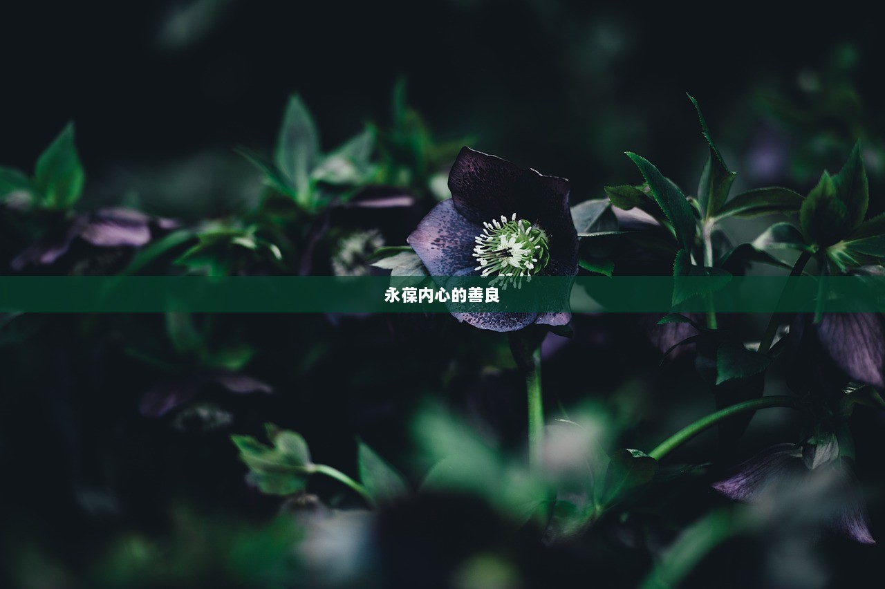 永葆内心的善良