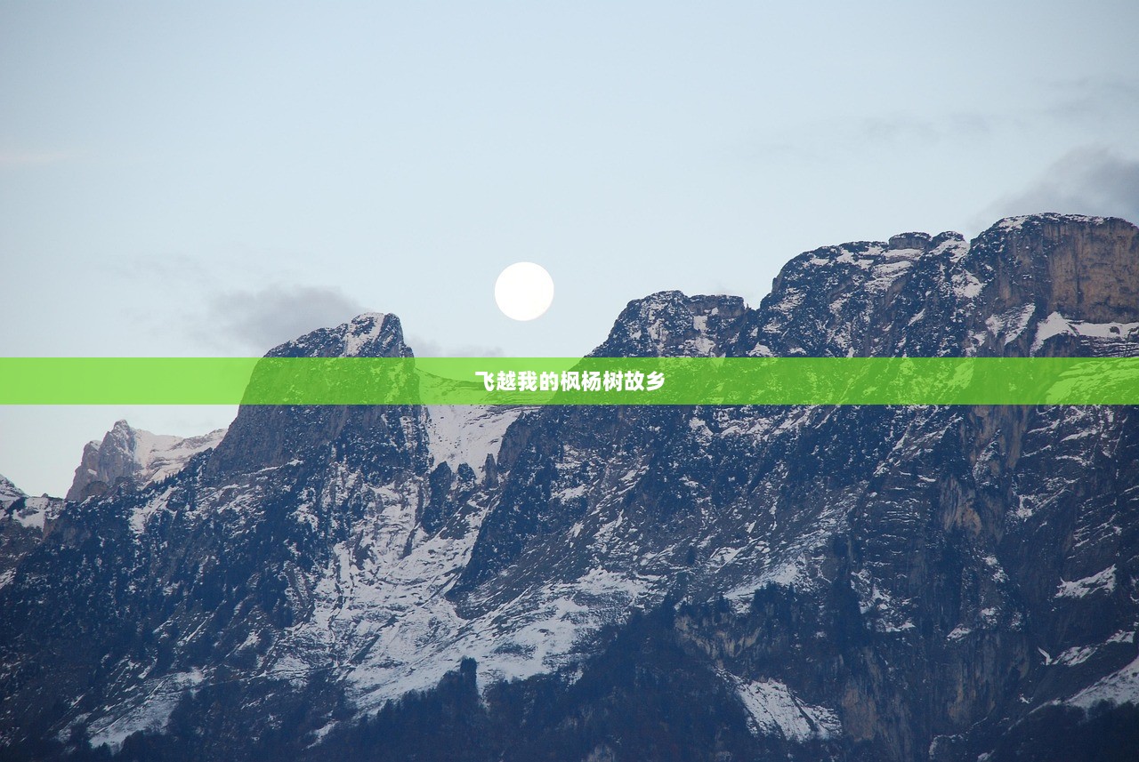 飞越我的枫杨树故乡