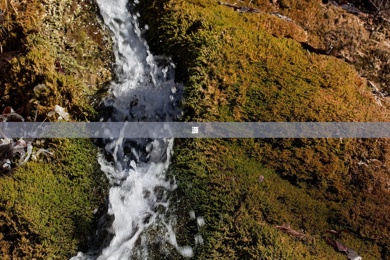 源