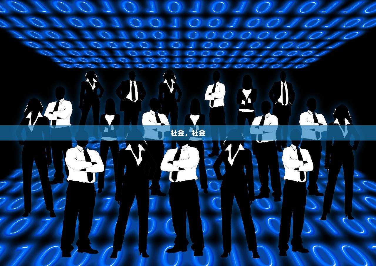 社会，社会