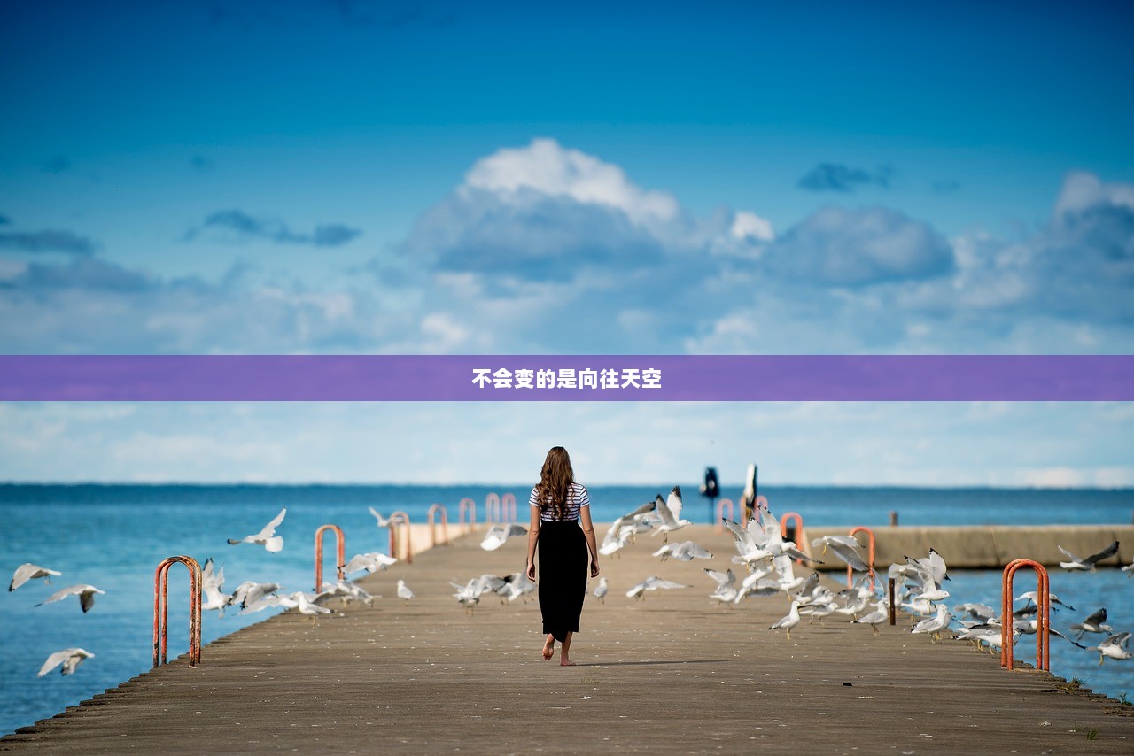 不会变的是向往天空