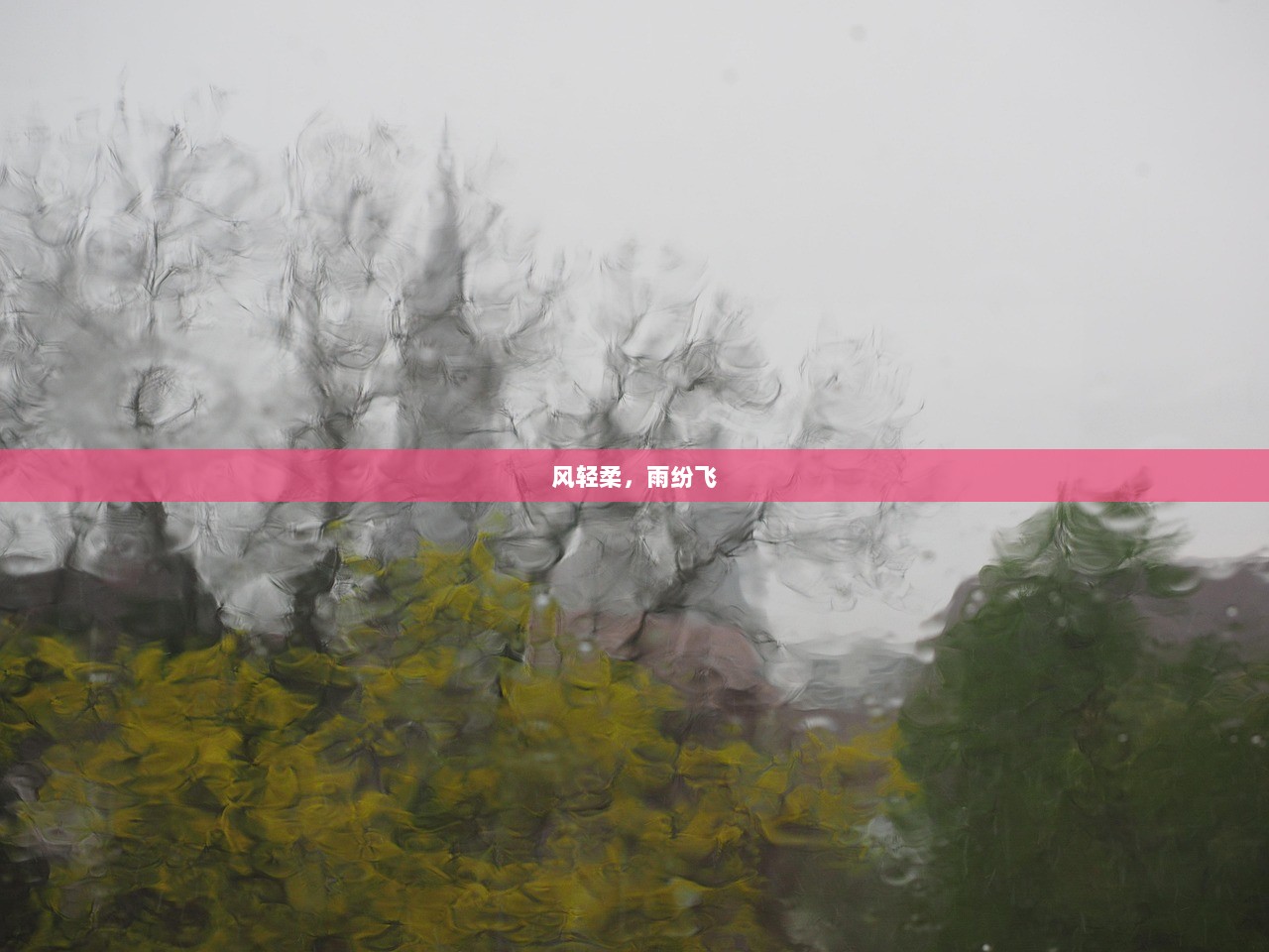 风轻柔，雨纷飞
