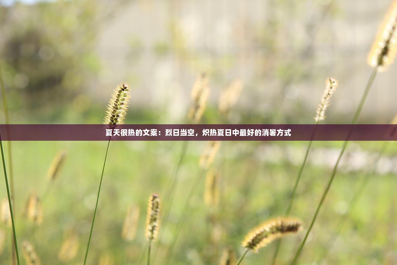 夏天很热的文案：烈日当空，炽热夏日中最好的消暑方式