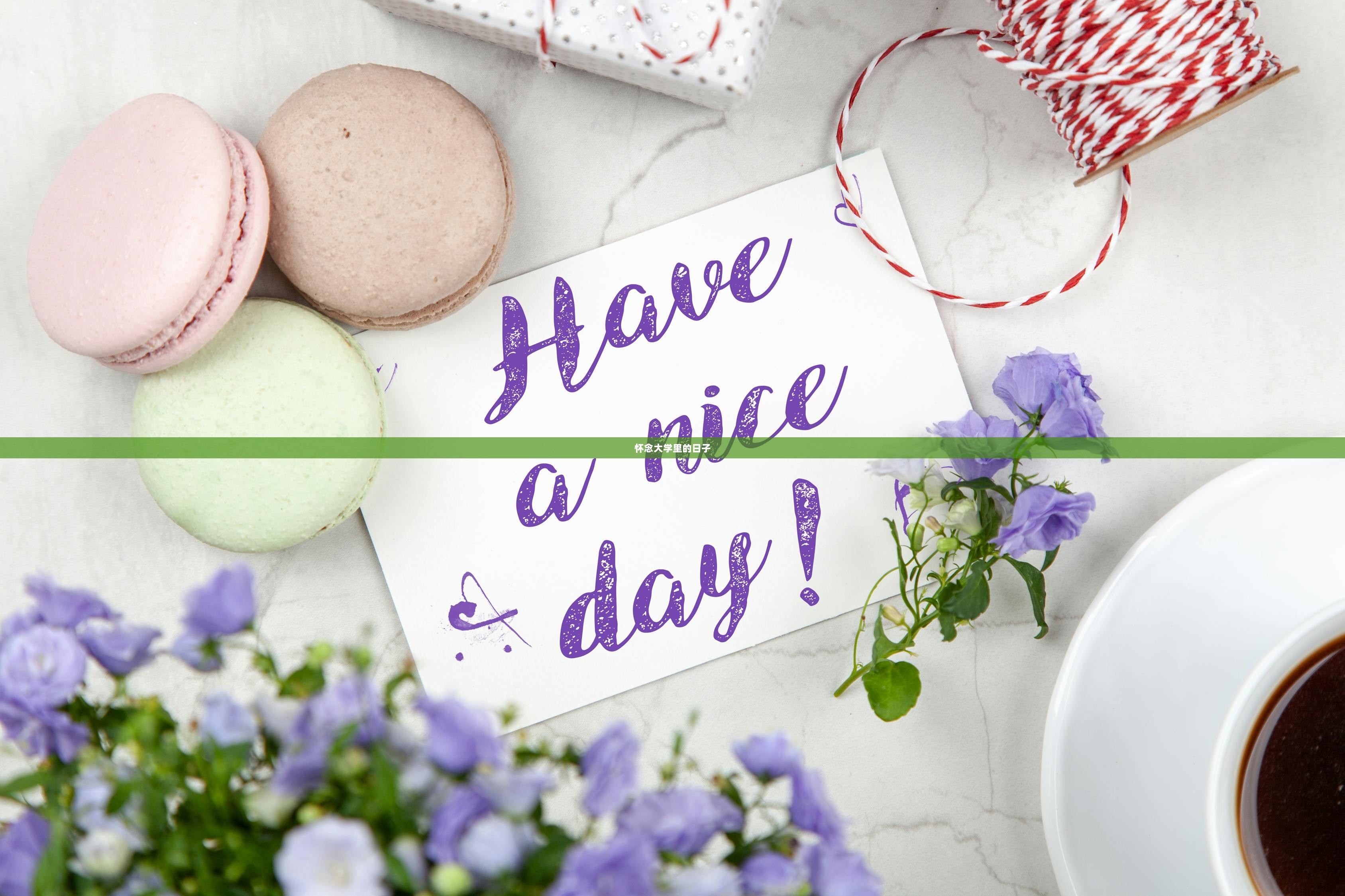 怀念大学里的日子