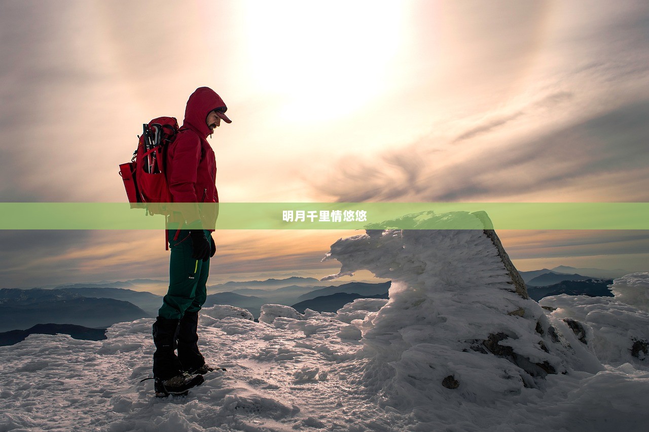 明月千里情悠悠