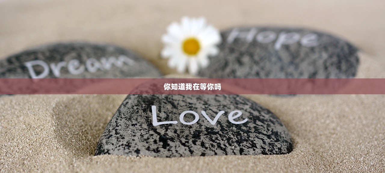 你知道我在等你吗