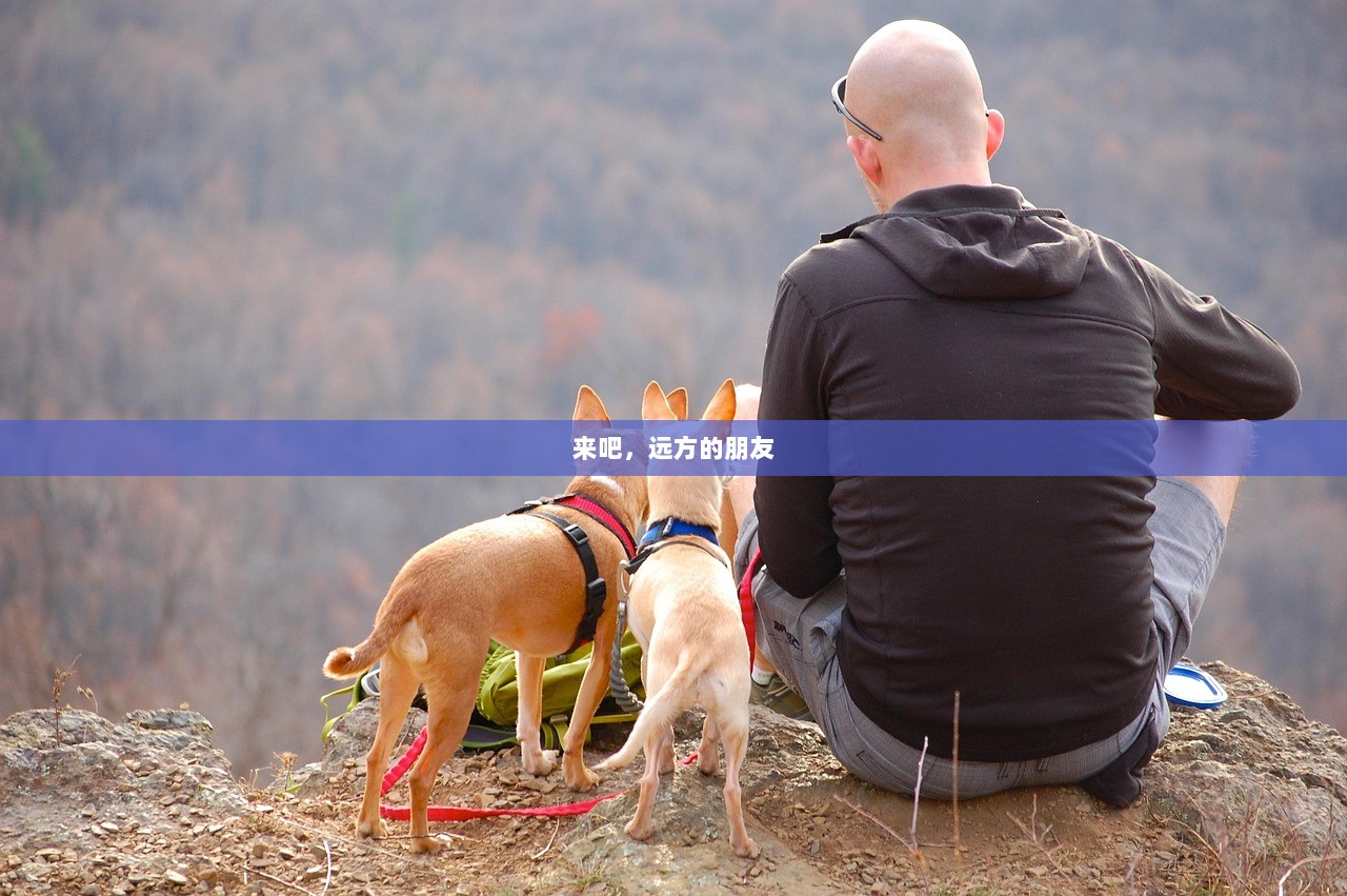 来吧，远方的朋友