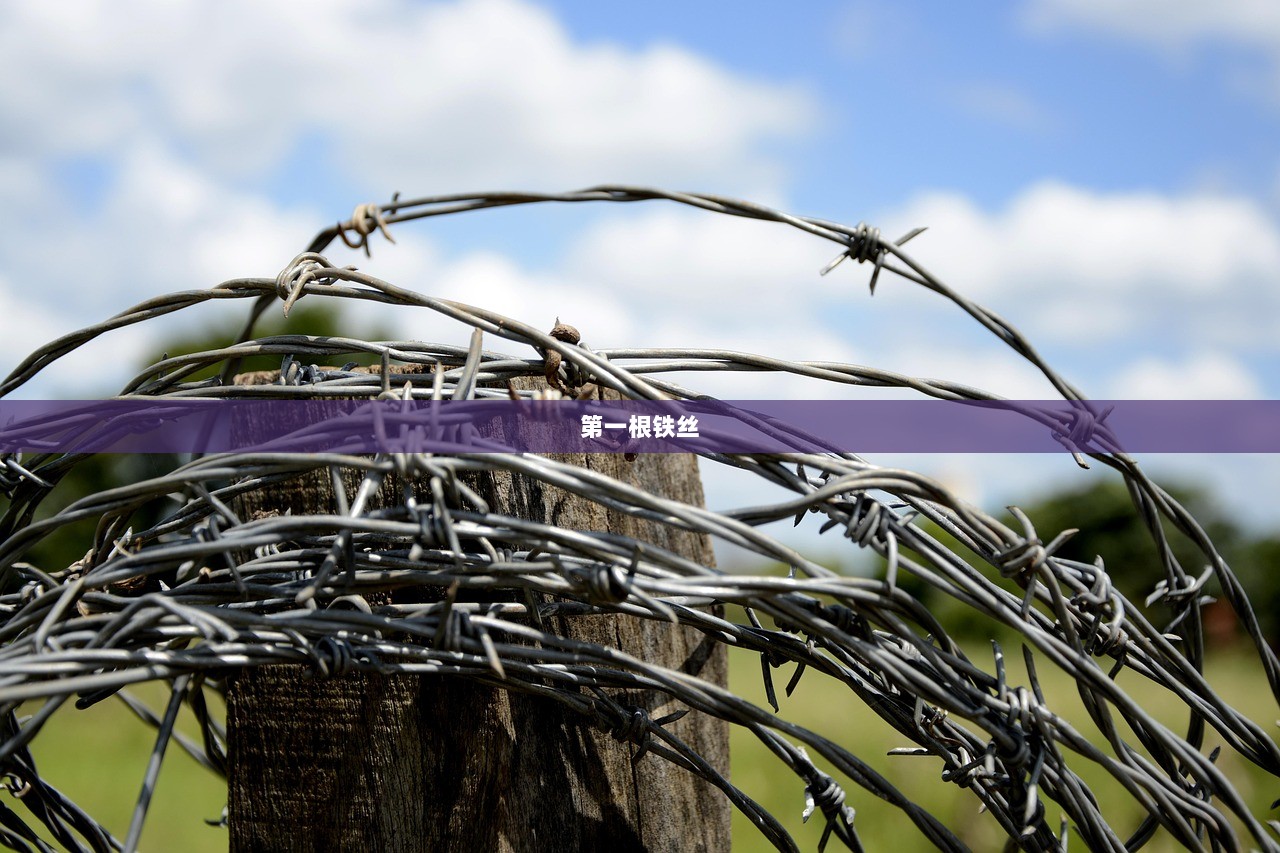 第一根铁丝