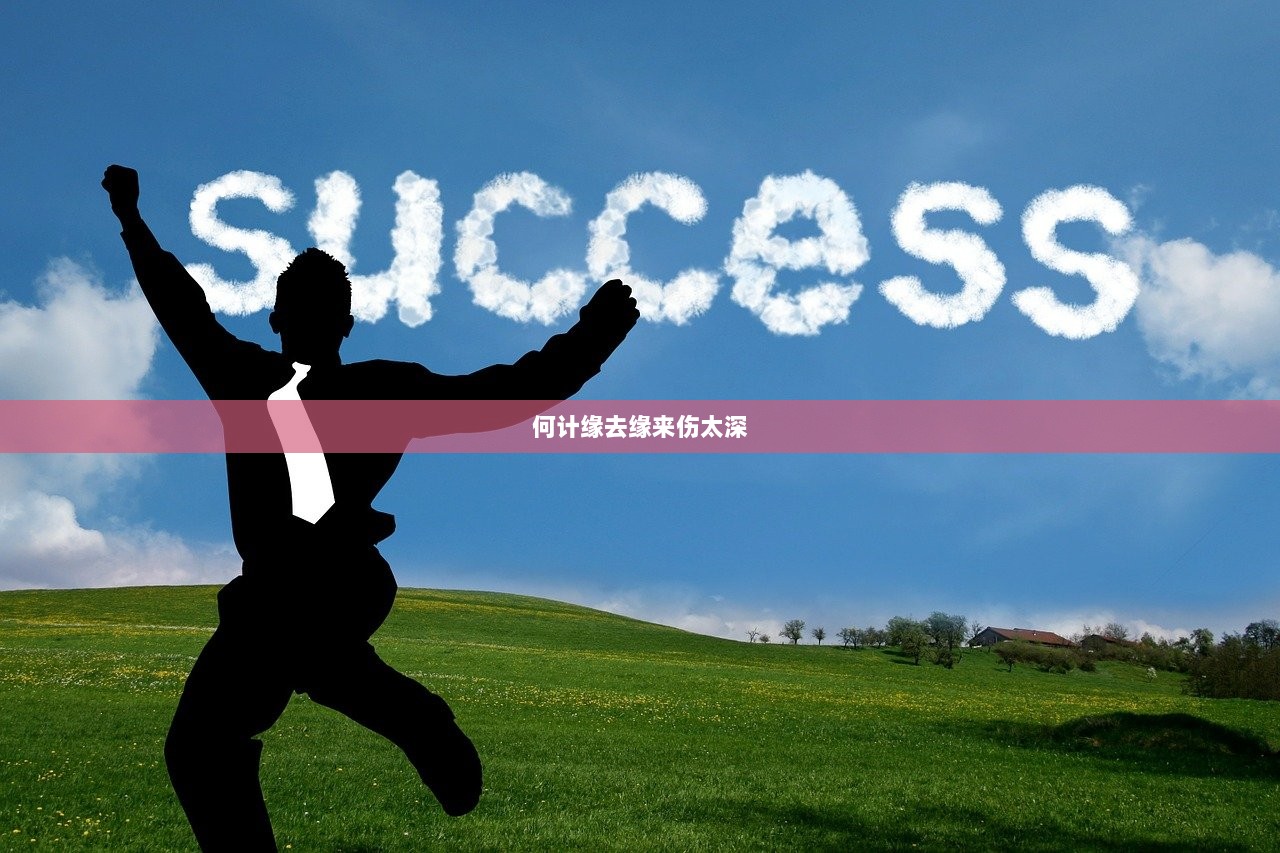 何计缘去缘来伤太深