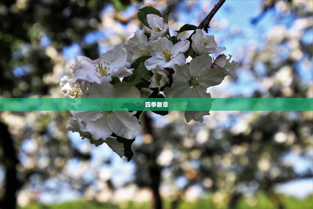 四季断章
