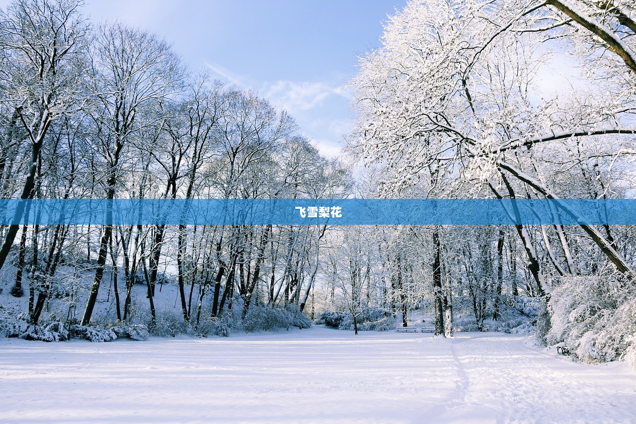 飞雪梨花