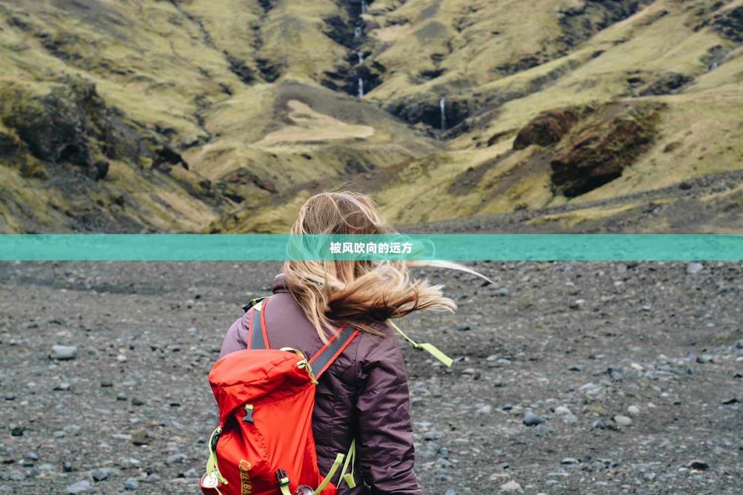 被风吹向的远方