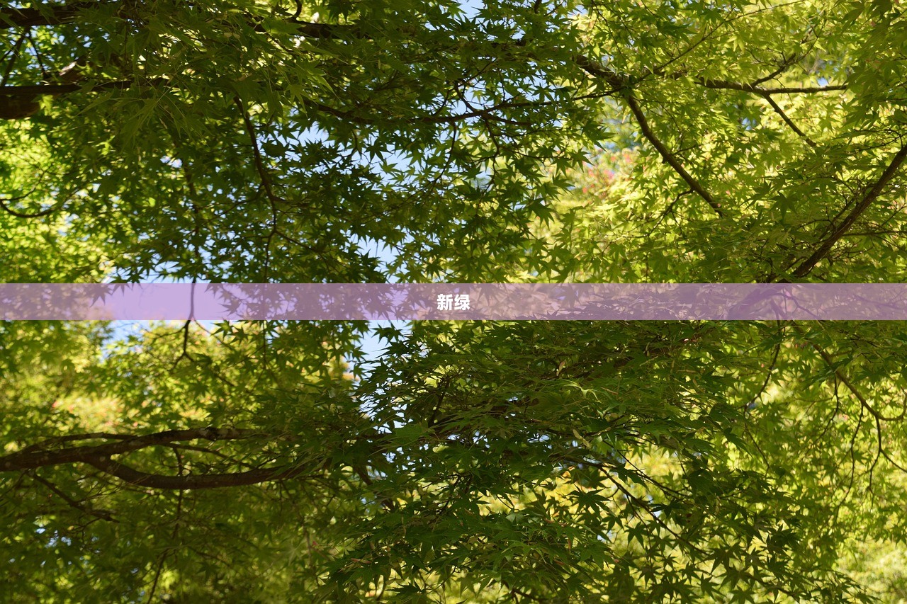 新绿