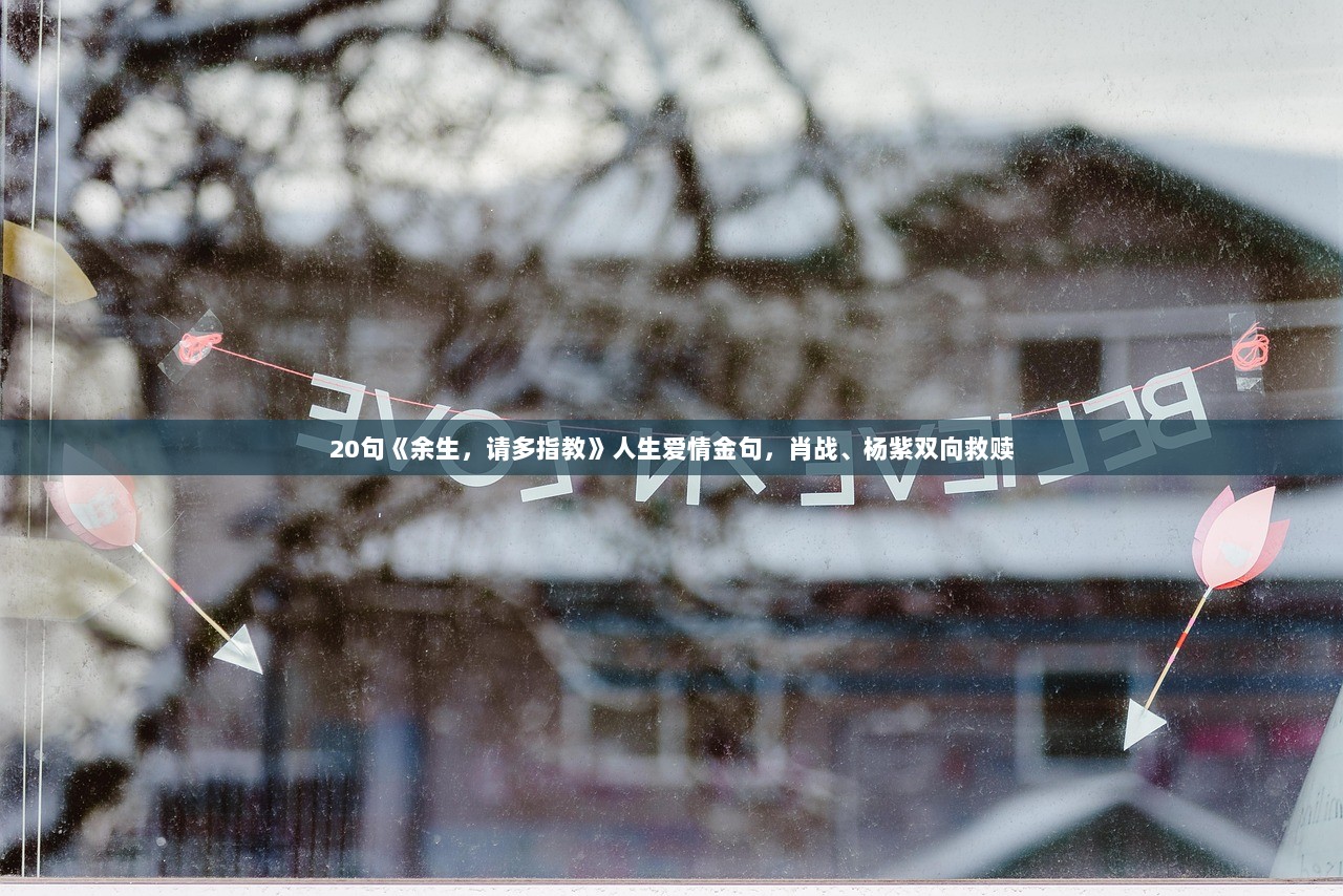 20句《余生，请多指教》人生爱情金句，肖战、杨紫双向救赎