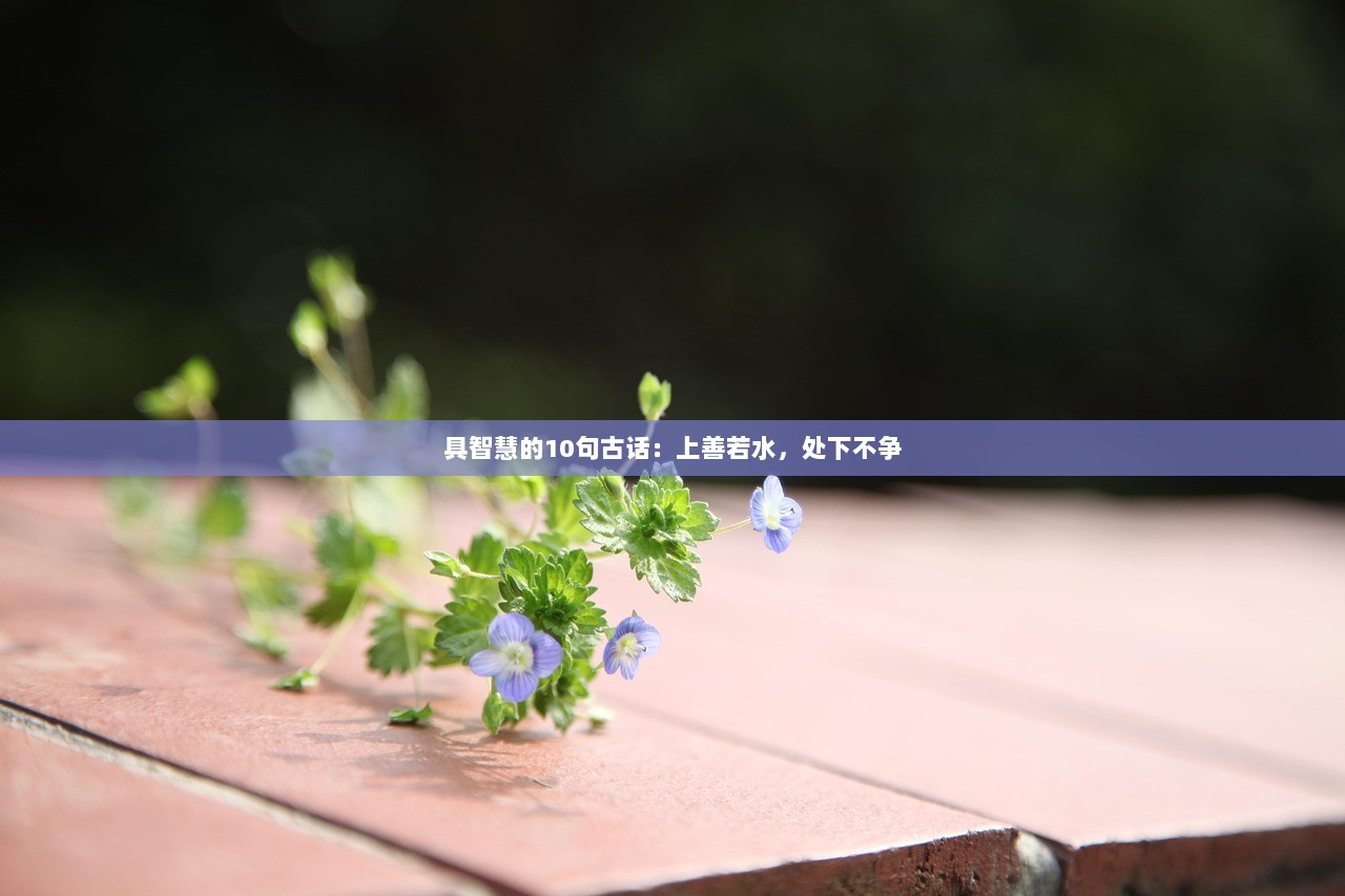 具智慧的10句古话：上善若水，处下不争