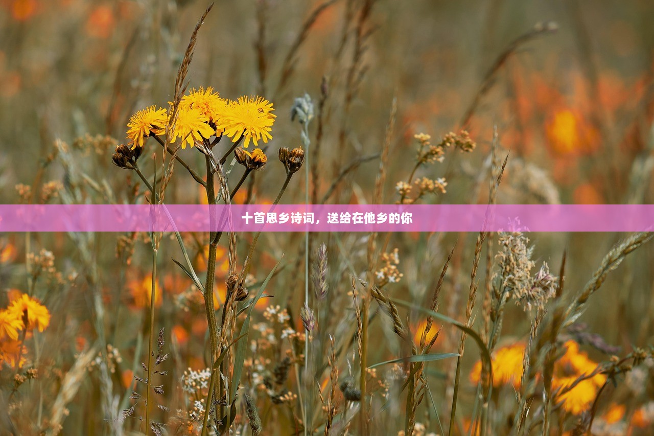 十首思乡诗词，送给在他乡的你