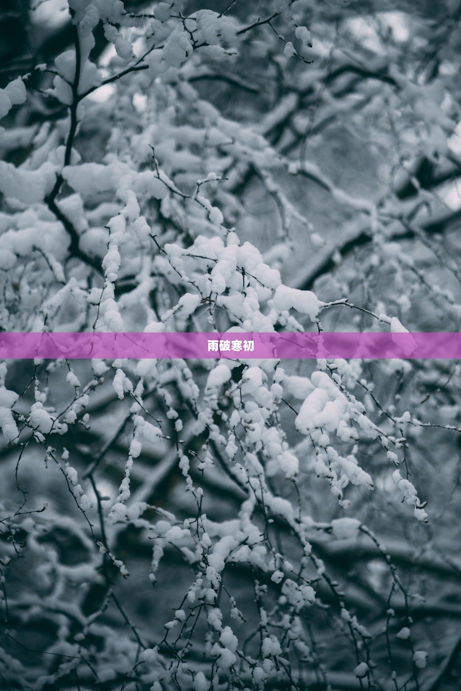 雨破寒初